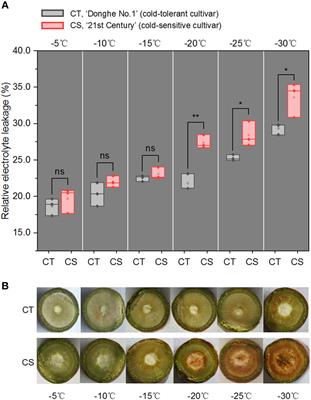 Integrated analysis of transcriptomics and metabolomics of peach under cold stress